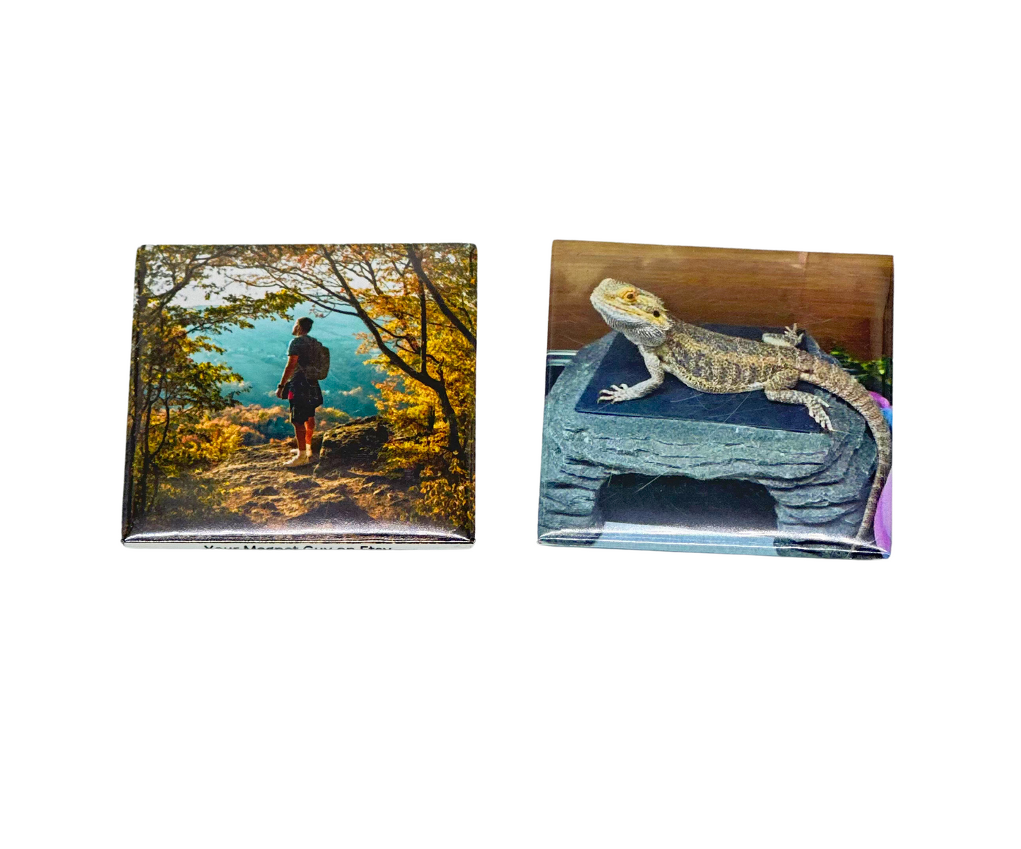 Refrigerator Magnets - 9 for $19.99