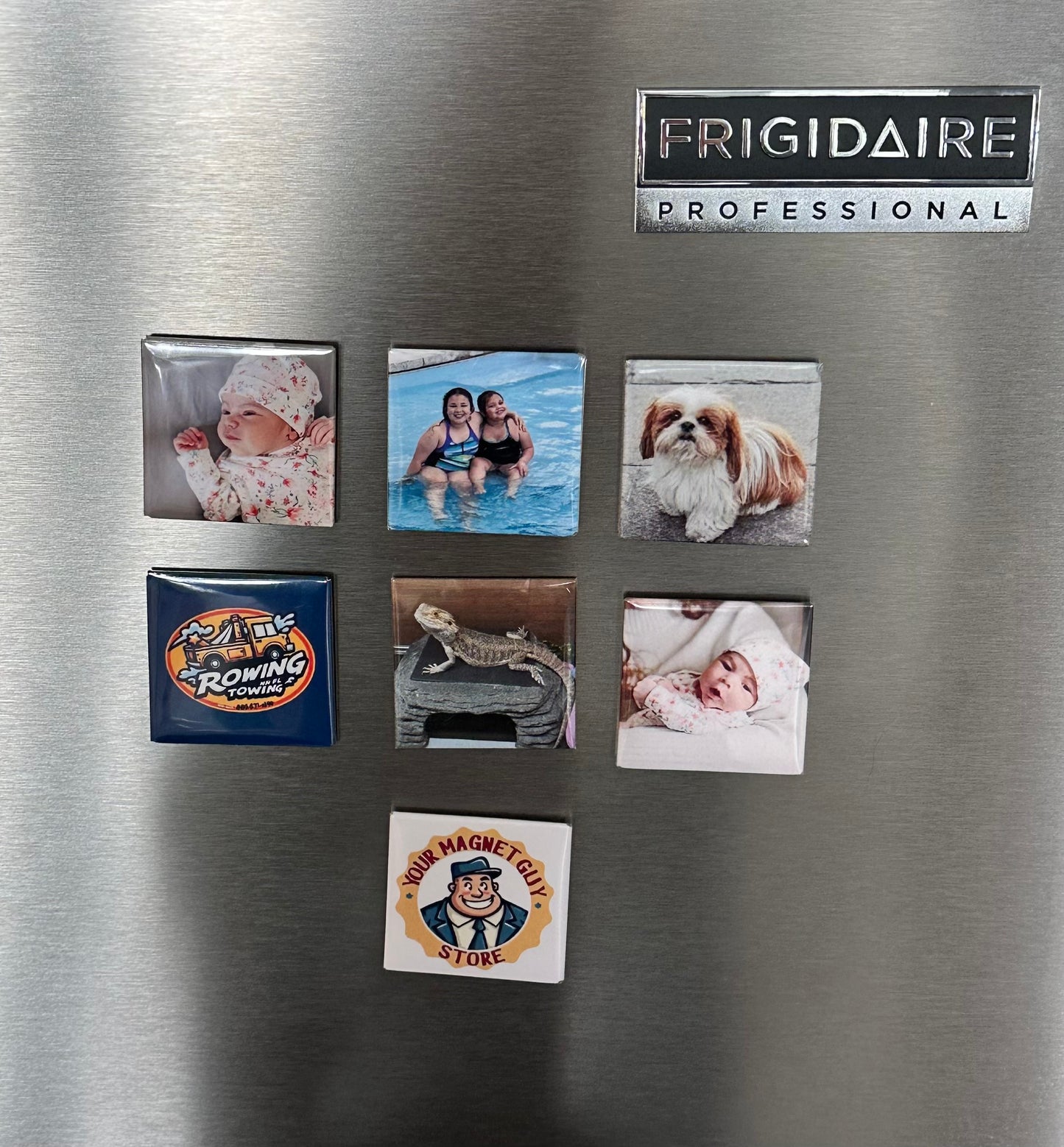 Refrigerator Magnets - 9 for $19.99