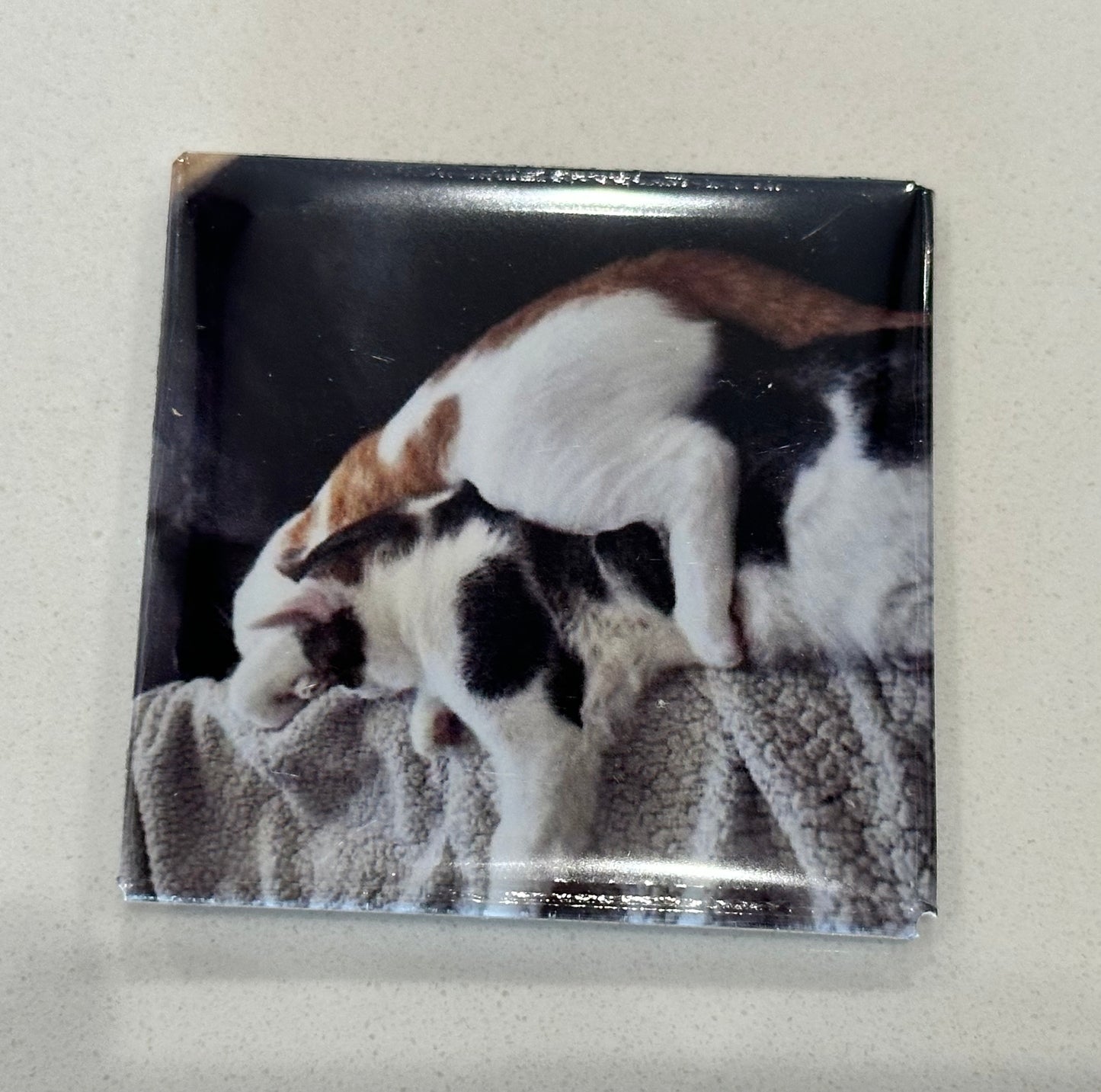 Pet Refrigerator Magnets - 9 for $24.99