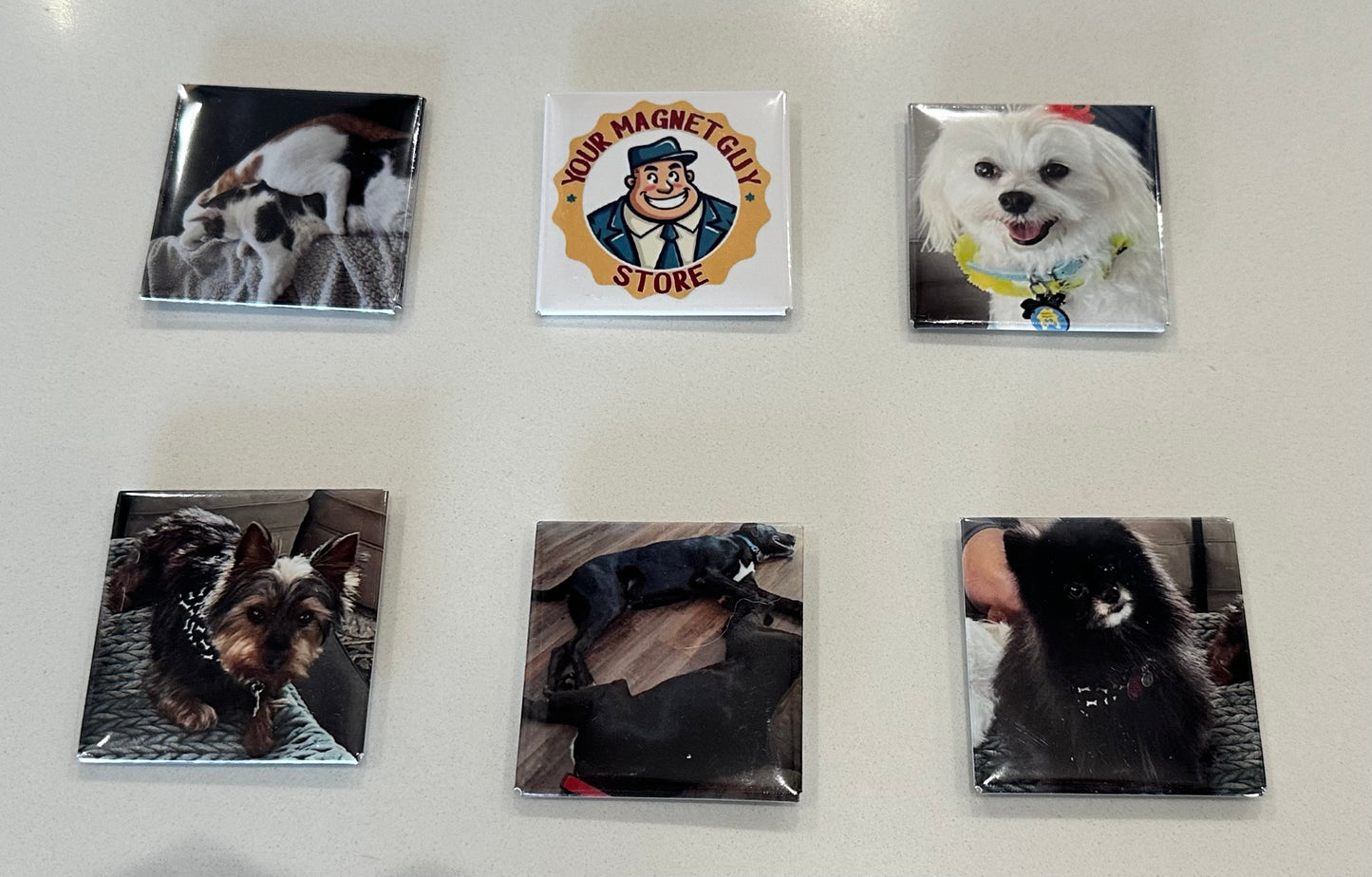 Pet Refrigerator Magnets - 9 for $24.99