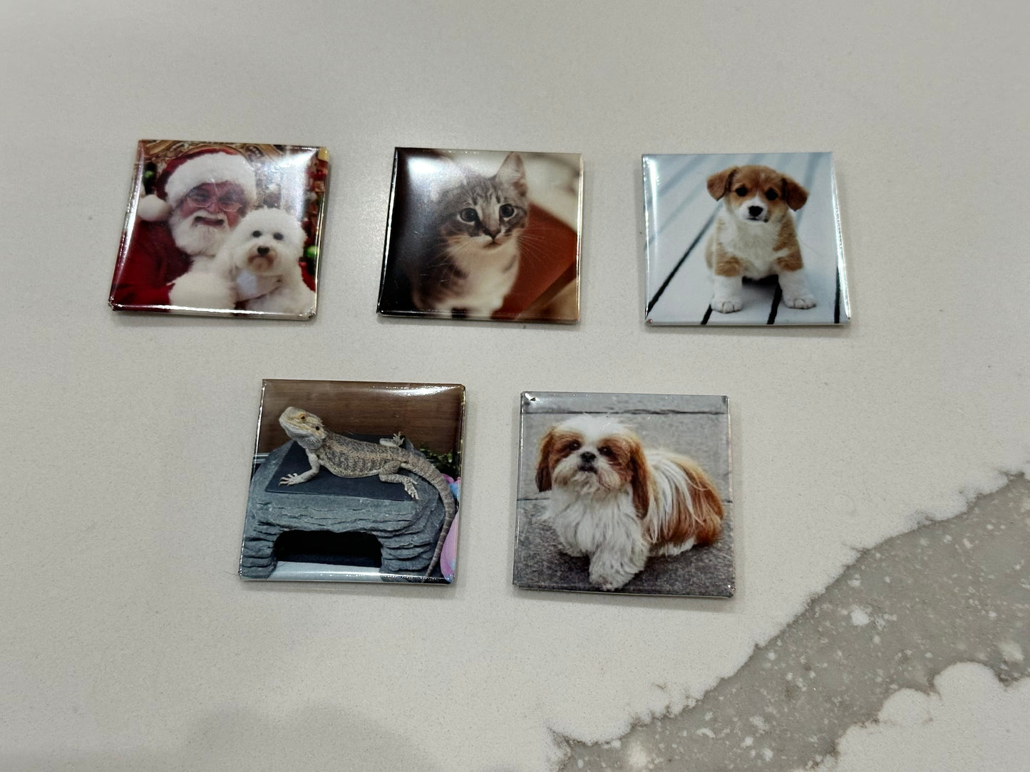 Pet Refrigerator Magnets - 9 for $24.99